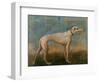 Greyhound-Giovanni Battista Tiepolo-Framed Giclee Print