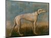 Greyhound-Giovanni Battista Tiepolo-Mounted Giclee Print