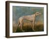 Greyhound-Giovanni Battista Tiepolo-Framed Giclee Print