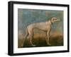 Greyhound-Giovanni Battista Tiepolo-Framed Giclee Print