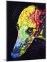 Greyhound-Dean Russo-Mounted Premium Giclee Print