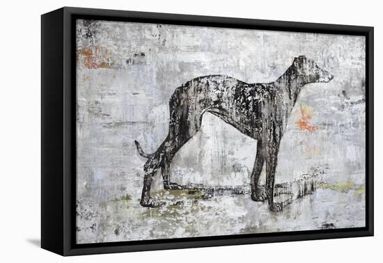 Greyhound-Henry Henry-Framed Stretched Canvas