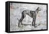 Greyhound-Henry Henry-Framed Stretched Canvas