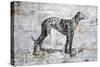 Greyhound-Henry Henry-Stretched Canvas