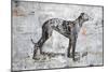 Greyhound-Henry Henry-Mounted Giclee Print