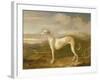 Greyhound-William Barraud-Framed Giclee Print