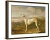 Greyhound-William Barraud-Framed Giclee Print