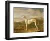 Greyhound-William Barraud-Framed Giclee Print