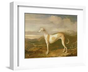 Greyhound-William Barraud-Framed Giclee Print