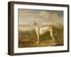 Greyhound-William Barraud-Framed Giclee Print