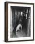 Greyhounds Being Fed in a Kennel-null-Framed Photographic Print