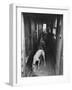 Greyhounds Being Fed in a Kennel-null-Framed Photographic Print