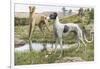 Greyhounds in Country-Louis Agassiz Fuertes-Framed Photographic Print