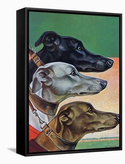 "Greyhounds," March 29, 1941-Paul Bransom-Framed Stretched Canvas