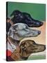 "Greyhounds," March 29, 1941-Paul Bransom-Stretched Canvas