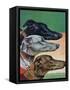 "Greyhounds," March 29, 1941-Paul Bransom-Framed Stretched Canvas