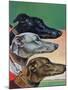 "Greyhounds," March 29, 1941-Paul Bransom-Mounted Giclee Print
