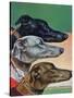 "Greyhounds," March 29, 1941-Paul Bransom-Stretched Canvas