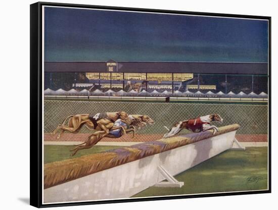 Greyhounds over Hurdles-null-Framed Stretched Canvas