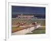 Greyhounds over Hurdles-null-Framed Art Print