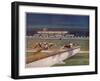 Greyhounds over Hurdles-null-Framed Art Print