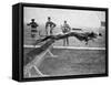 Greyhounds Racing-null-Framed Stretched Canvas