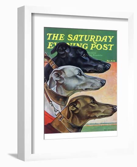 "Greyhounds," Saturday Evening Post Cover, March 29, 1941-Paul Bransom-Framed Giclee Print