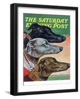 "Greyhounds," Saturday Evening Post Cover, March 29, 1941-Paul Bransom-Framed Giclee Print