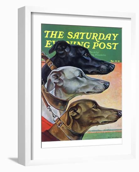 "Greyhounds," Saturday Evening Post Cover, March 29, 1941-Paul Bransom-Framed Giclee Print