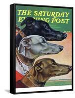 "Greyhounds," Saturday Evening Post Cover, March 29, 1941-Paul Bransom-Framed Stretched Canvas