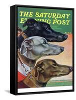 "Greyhounds," Saturday Evening Post Cover, March 29, 1941-Paul Bransom-Framed Stretched Canvas