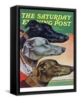 "Greyhounds," Saturday Evening Post Cover, March 29, 1941-Paul Bransom-Framed Stretched Canvas