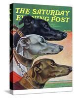 "Greyhounds," Saturday Evening Post Cover, March 29, 1941-Paul Bransom-Stretched Canvas