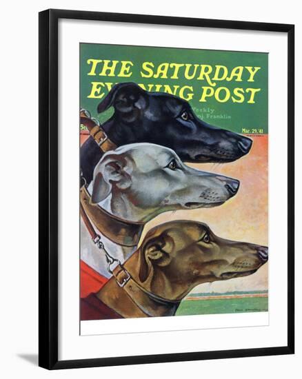 "Greyhounds," Saturday Evening Post Cover, March 29, 1941-Paul Bransom-Framed Giclee Print