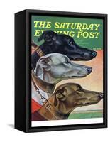 "Greyhounds," Saturday Evening Post Cover, March 29, 1941-Paul Bransom-Framed Stretched Canvas