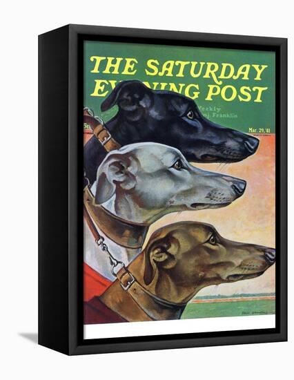 "Greyhounds," Saturday Evening Post Cover, March 29, 1941-Paul Bransom-Framed Stretched Canvas