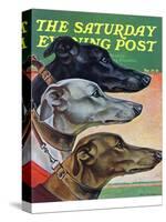 "Greyhounds," Saturday Evening Post Cover, March 29, 1941-Paul Bransom-Stretched Canvas