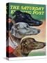 "Greyhounds," Saturday Evening Post Cover, March 29, 1941-Paul Bransom-Stretched Canvas