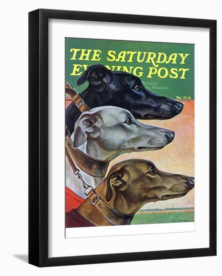 "Greyhounds," Saturday Evening Post Cover, March 29, 1941-Paul Bransom-Framed Premium Giclee Print