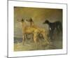 Greyhounds-Maud Earl-Mounted Premium Giclee Print