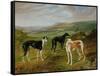 Greyhounds-Benjamin Cam Norton-Framed Stretched Canvas