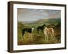 Greyhounds-Benjamin Cam Norton-Framed Giclee Print