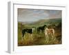 Greyhounds-Benjamin Cam Norton-Framed Giclee Print