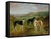 Greyhounds-Benjamin Cam Norton-Framed Stretched Canvas