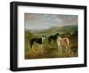 Greyhounds-Benjamin Cam Norton-Framed Giclee Print