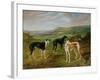 Greyhounds-Benjamin Cam Norton-Framed Giclee Print