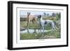 Greyhounds-Louis Agassiz Fuertes-Framed Art Print