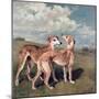 Greyhounds-John Emms-Mounted Giclee Print