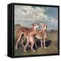 Greyhounds-John Emms-Framed Stretched Canvas