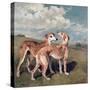 Greyhounds-John Emms-Stretched Canvas